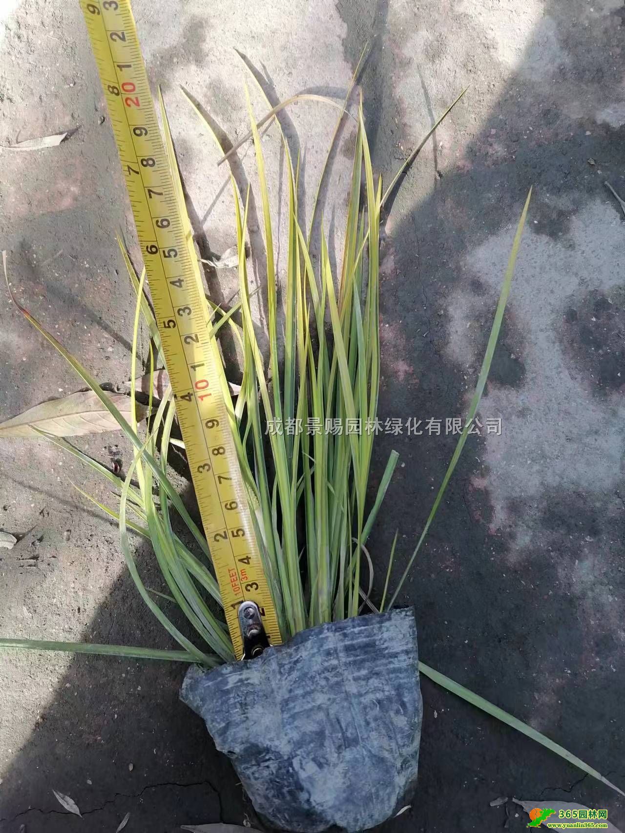 ɶ~ʯѻء30-40߽~ʯѴ󱭡l