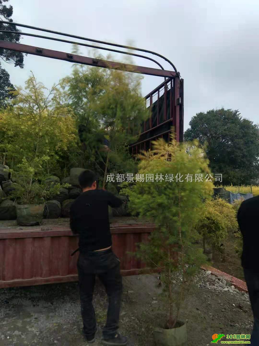 ĴؑcFǧӽl1-2-3׸ǧӽ