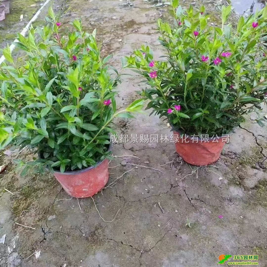 M(mn)ǾG硢M(mn)ǻءM(mn)l(f)M(mn)ǴС