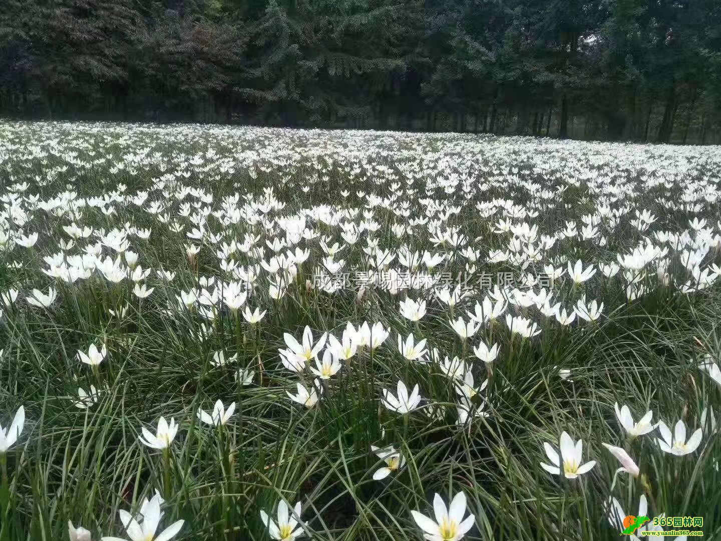 [ml׻[mt[mۡĴFݡؑc[m