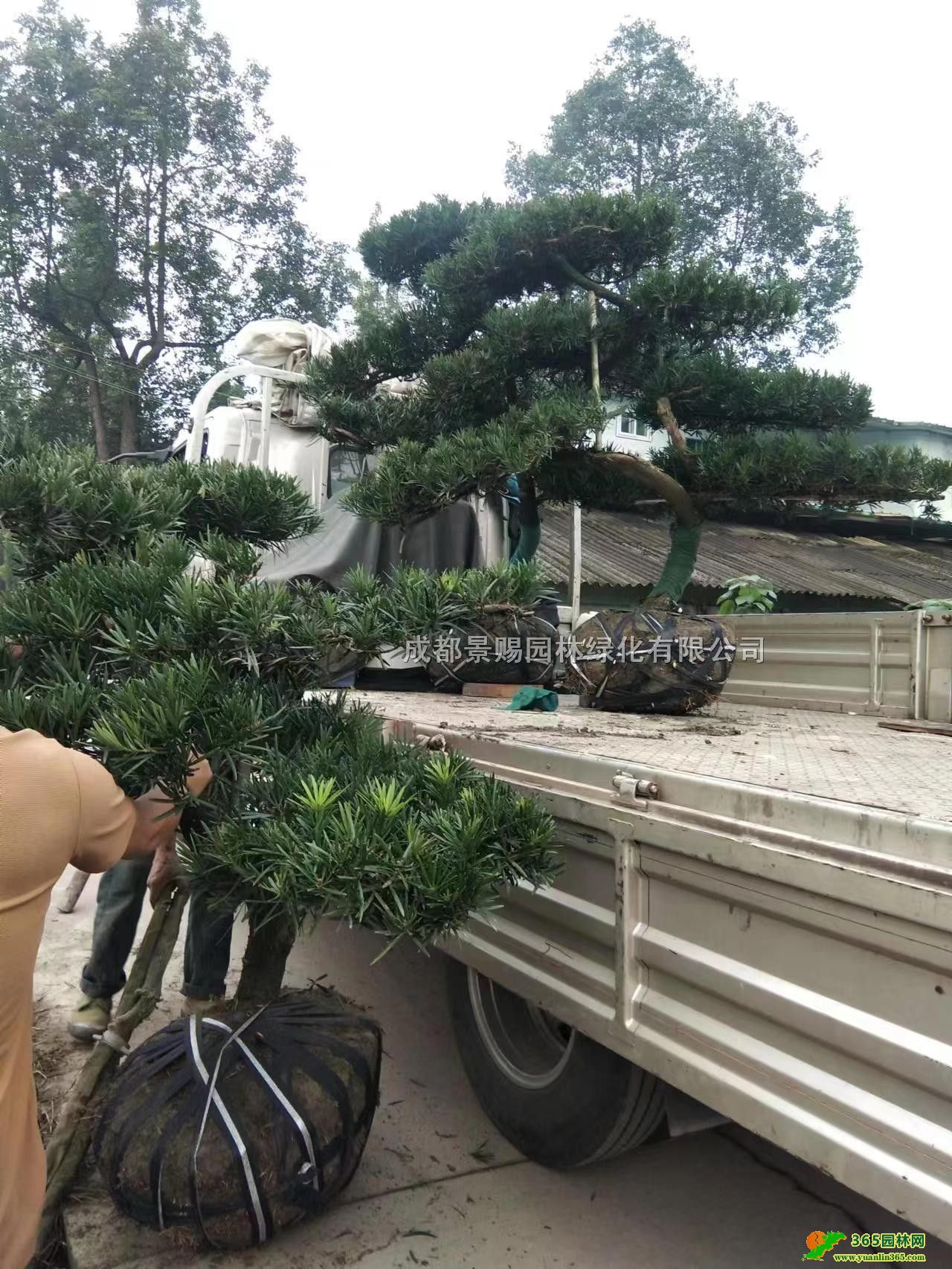 _hɷNֲء2-3׸_hɡlFݡؑc