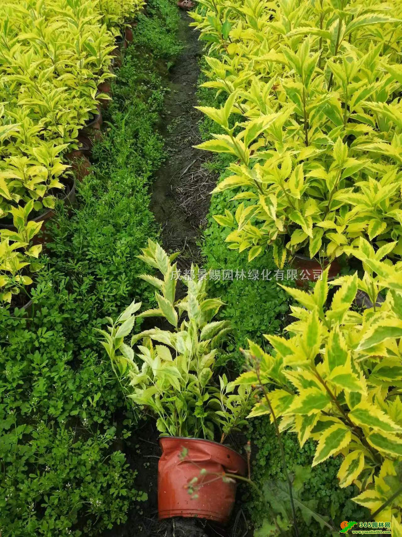 30BN~BNءl40-50߻~BN