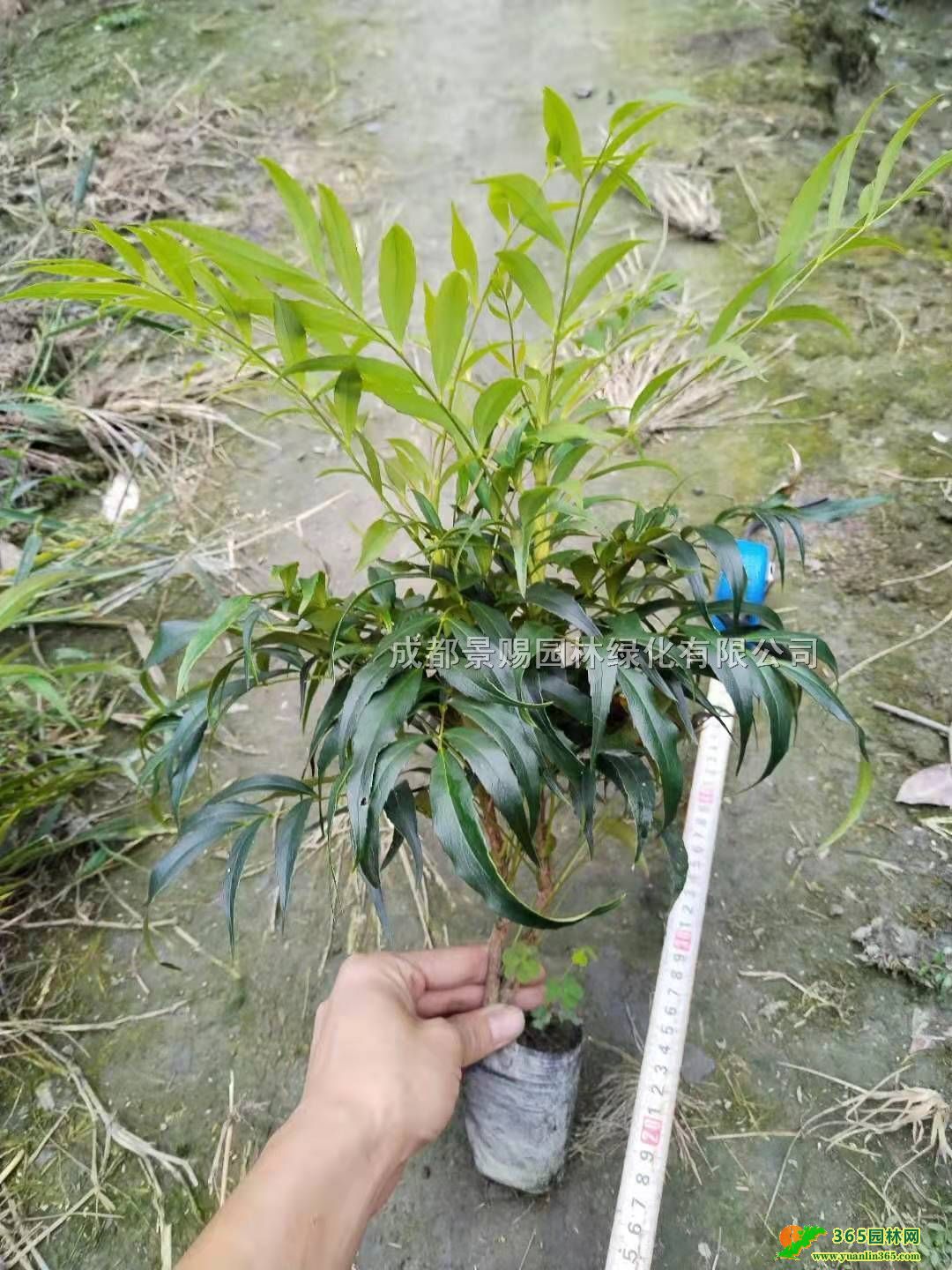 ʮ󹦄ڻl30-40ʮ󹦄СM~