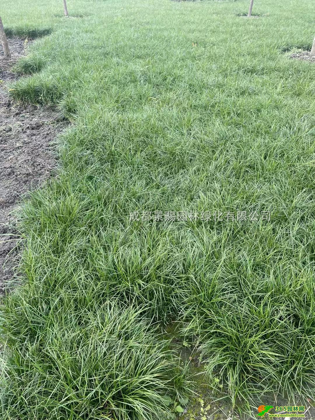 l(f)Ĵءṩ20-30С硢ر