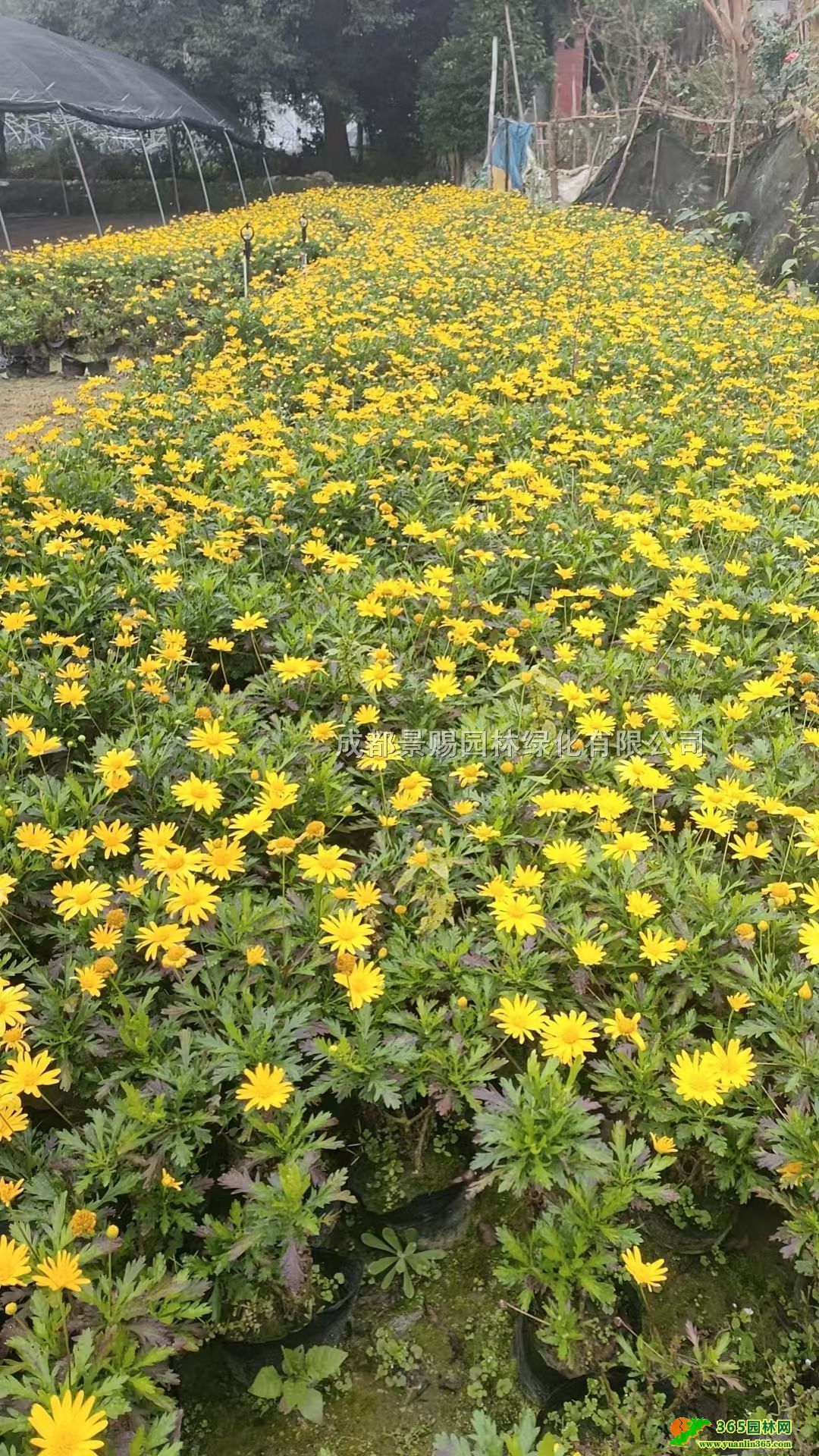 ľվGС硢16ľջءľlr