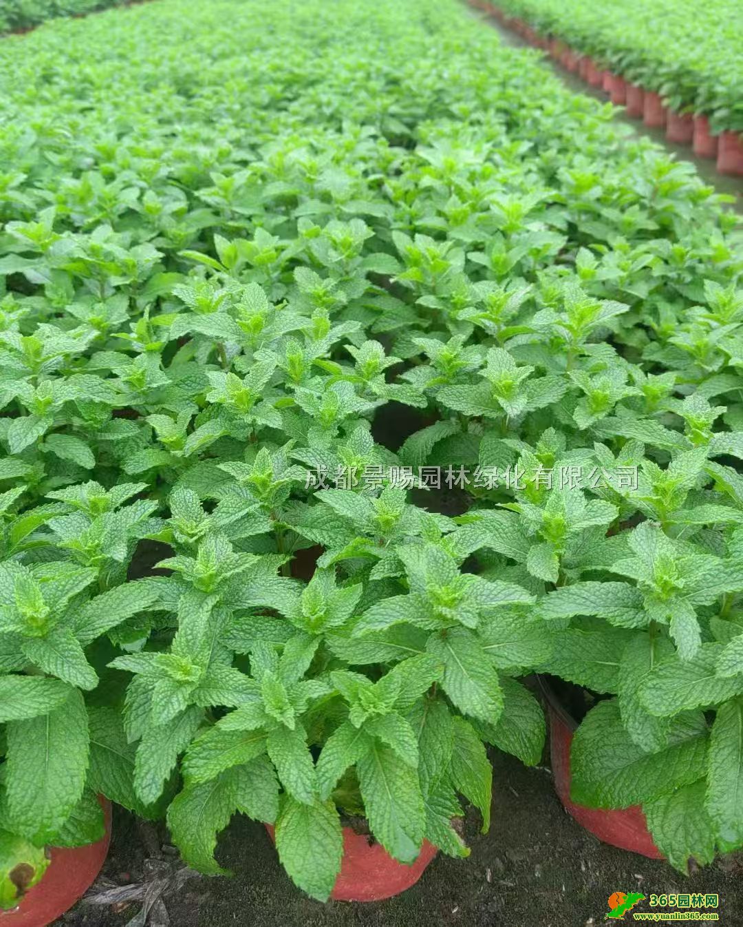 ɹGС硢10-40ֱlɻ؃r