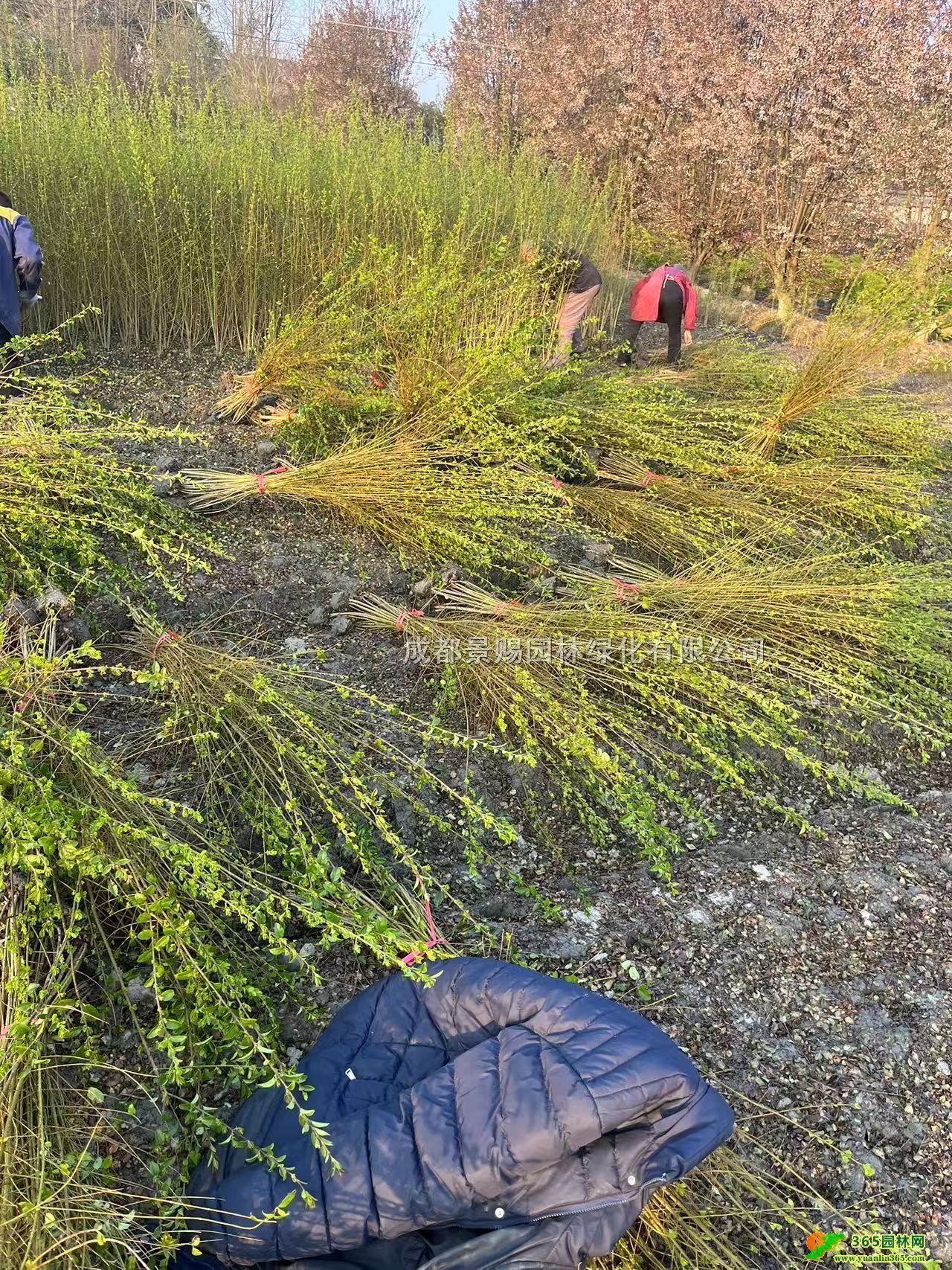 1-2׸С~ŮؑС硢С~Ůؑ硢С~ŮؑGh