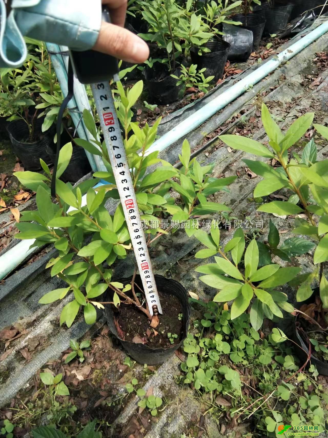 30-40ëNС20-50ëN16ëN