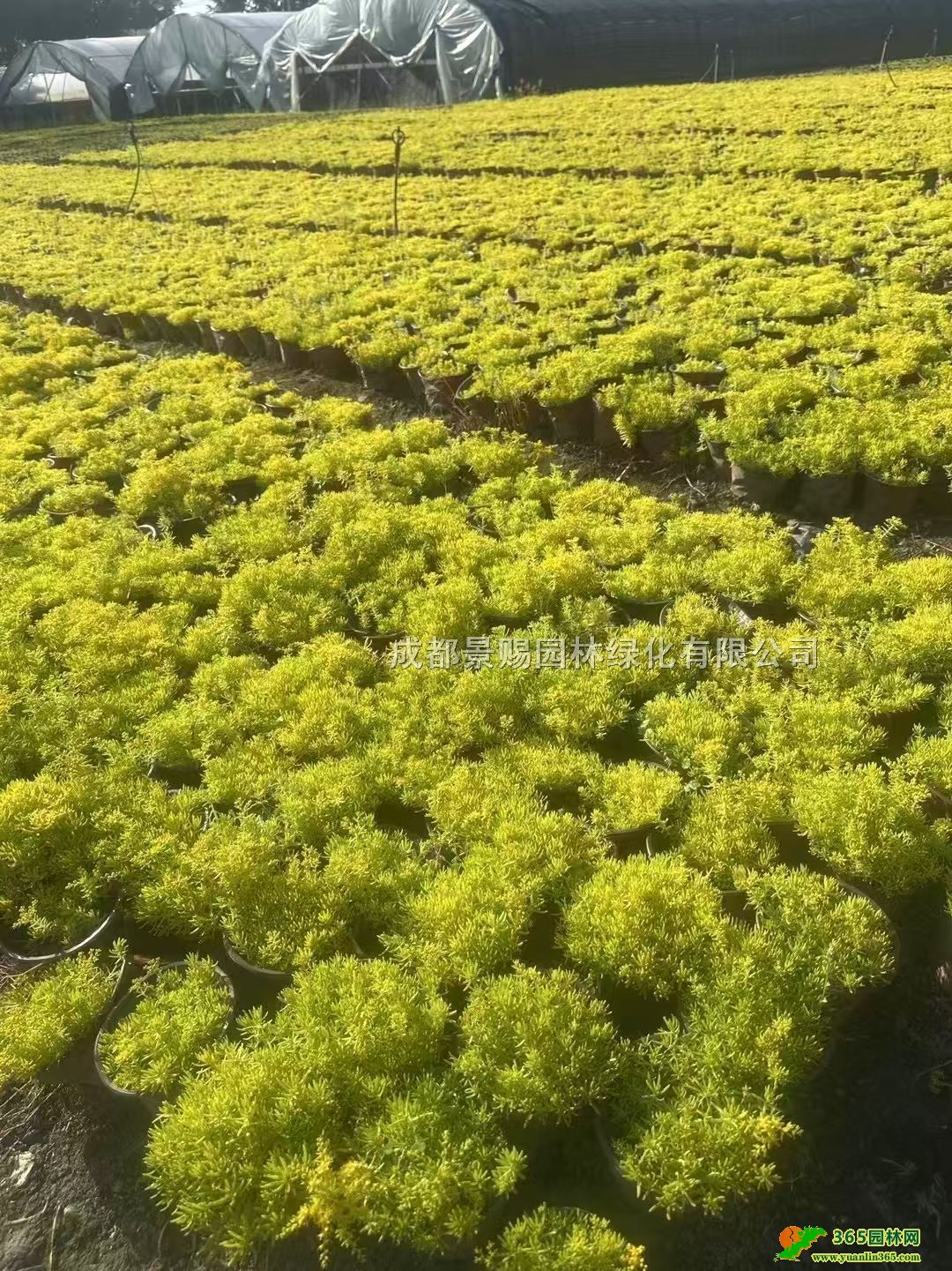 14ײС硢ײݱ硢ײݷPײݻl