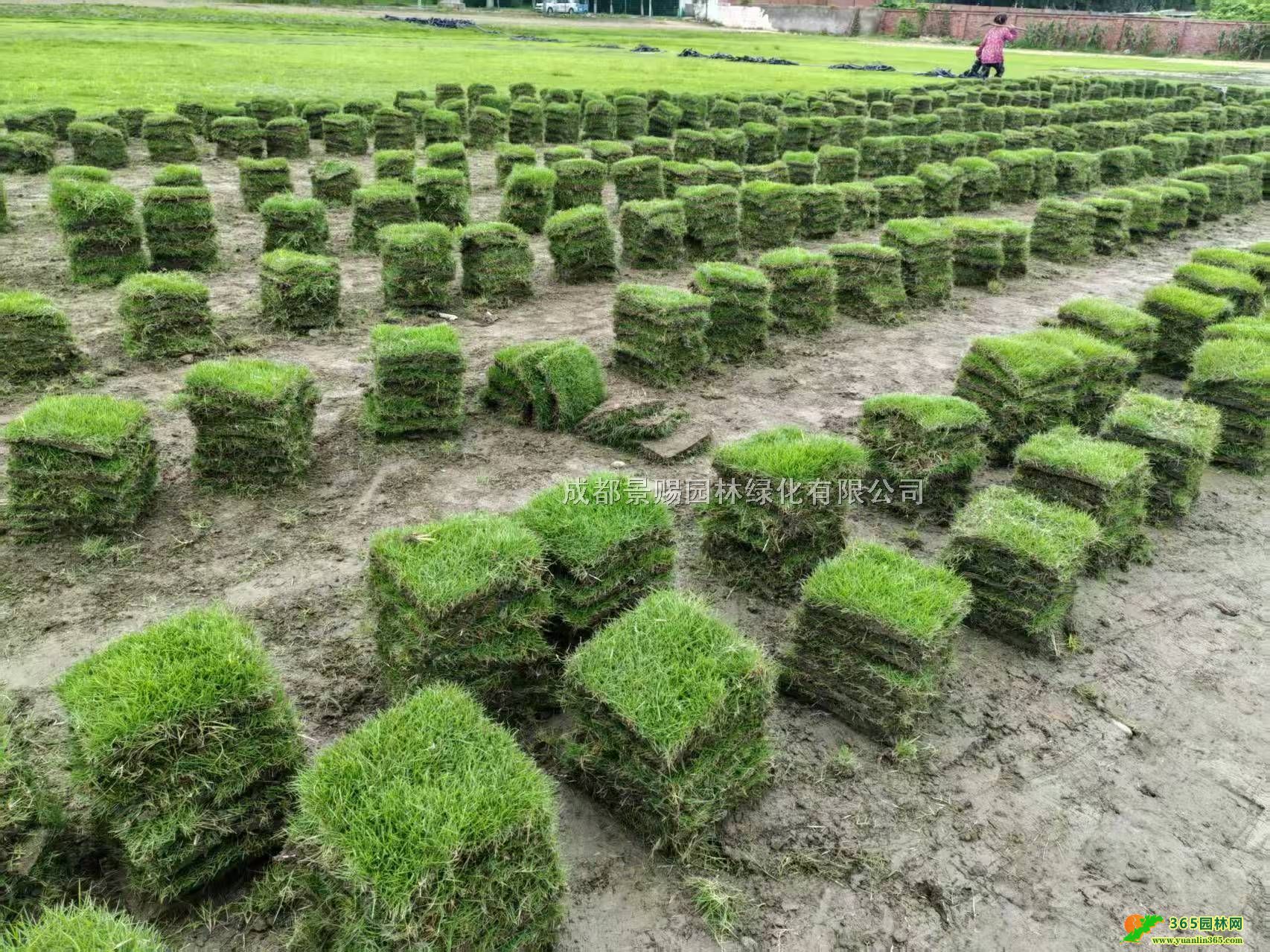 _ݲƺNֲlء_2̖ݲƺݾ݉K