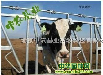 北京中農基業畜牧科技有限公司