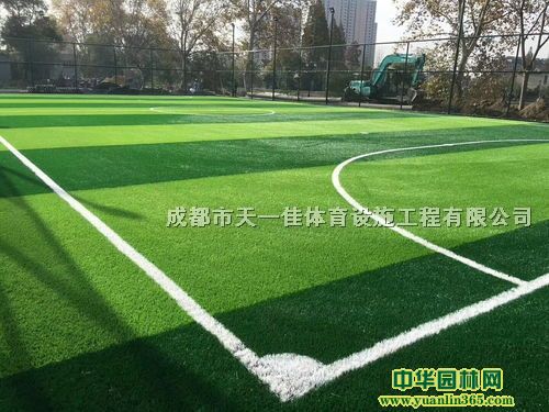 成都市天一佳體育設施工程有限公司