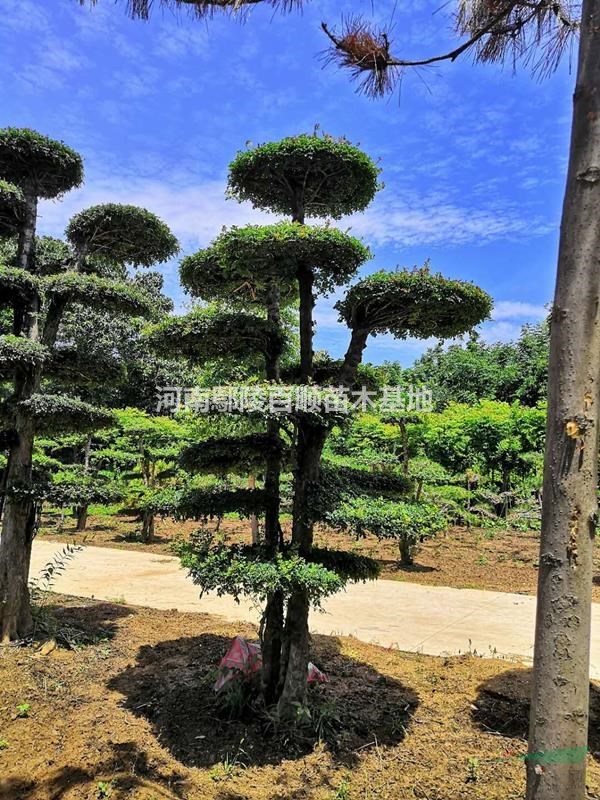 ӰϞ͘ءӰϞ͘r񡢌ӰϞ͘乩