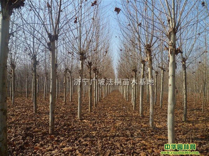 1-3ñͩϞͩͩǤl