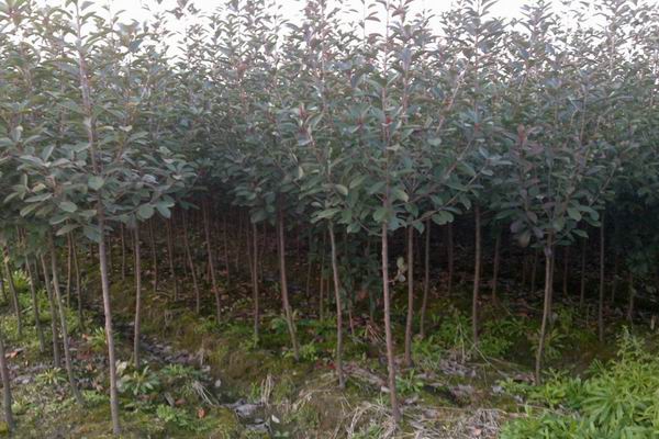 3ּt~ʯ骡(d)Ut~ʯ骘