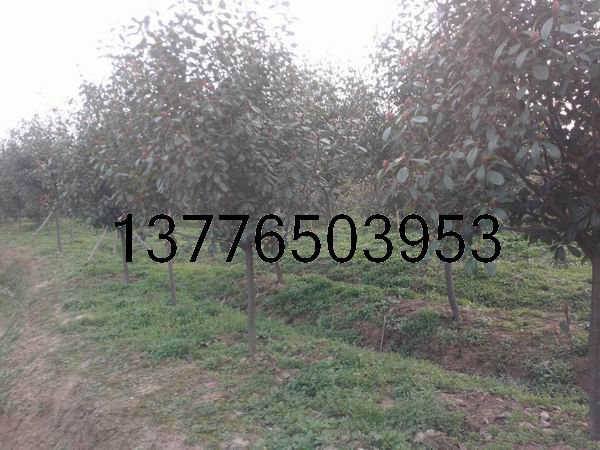 5ּt~ʯ骡Ut~ʯ骘߷֦