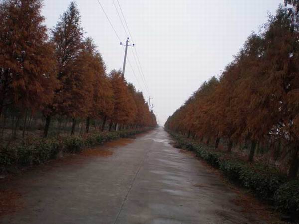 1215ɼr(ji)ɼl(f)r(ji)