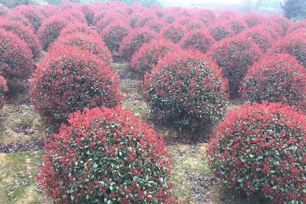 1׼t~ʯb܇(ch)r(ji)X(qin)