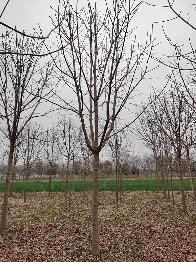 ֱ10-15-18~b܇r(ji)(x)