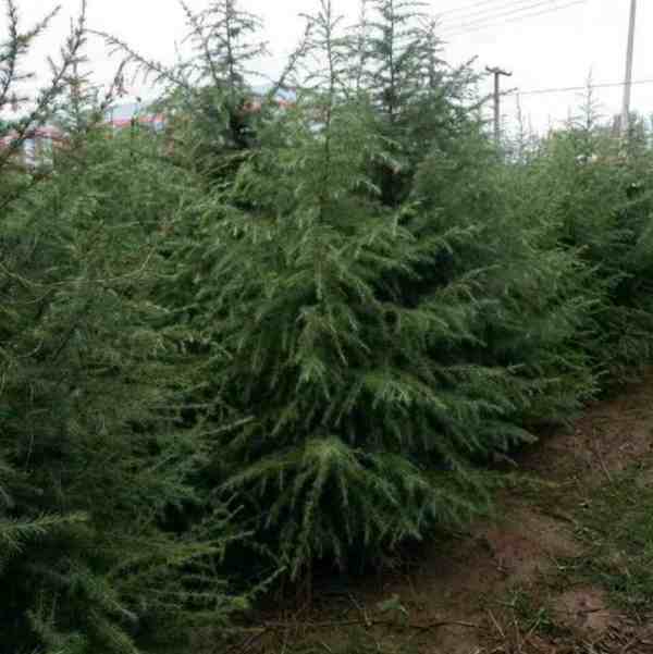 100-400ߵѩɡѩɃrѩɈDƬֱN