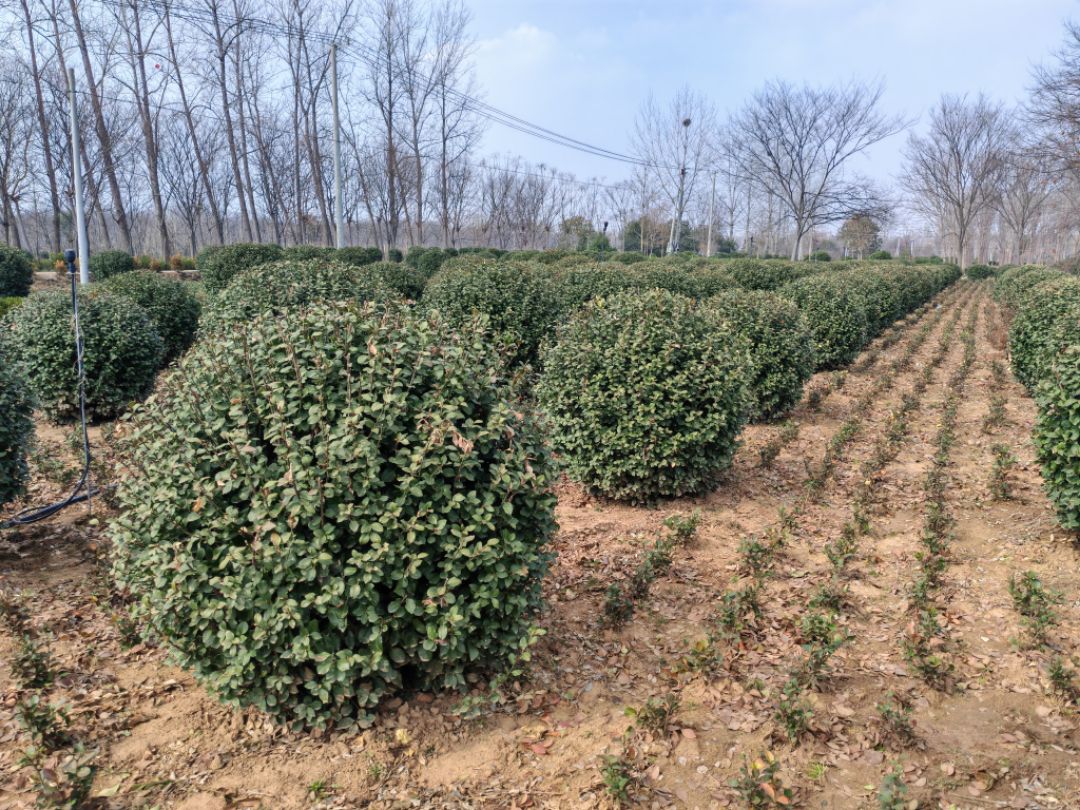 l(wi)ìl(wi)ìl(wi)ìֱN