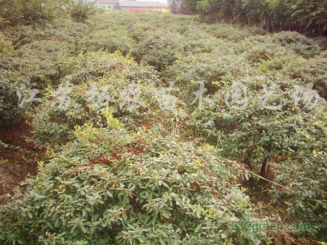 С~S򡢽߅Sءt~СޡŮؑ