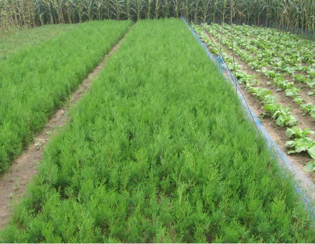 ut~С~Ůؑ