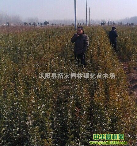 Ǥ塢в޽60-2~mޱѻ