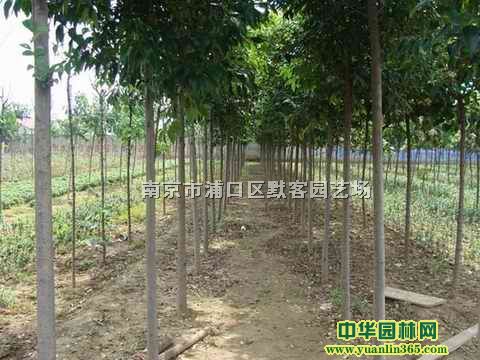 ~Ůؑr(ji)ֲ~Ůؑ(sh)ăr(ji)