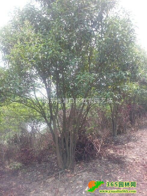 UŮؑr(ji)Ϣ2025UŮؑr(ji)