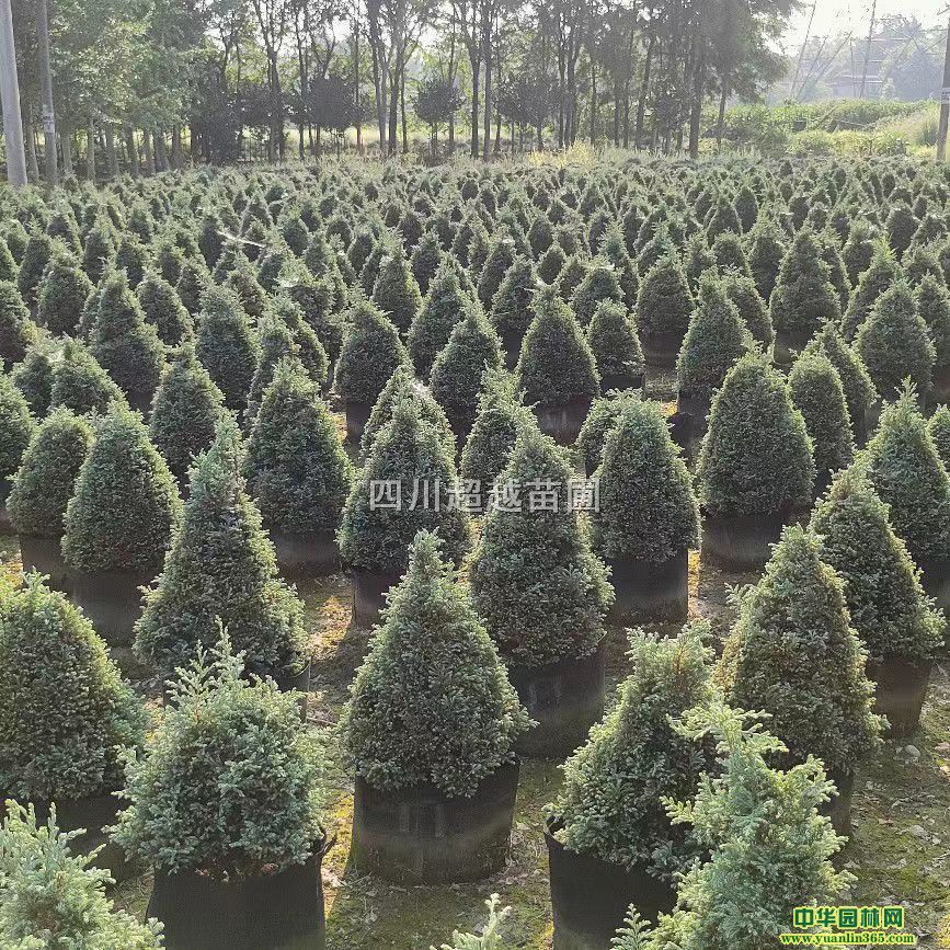 ẽ{ѩë~㡢ϙ졢ëӽL⏲ݡ{ɫ