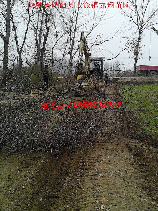 10-30֞ꡢǗ䡢ܡSBľ