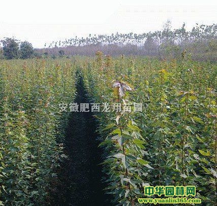 ǗС硢С硢硢SBľ硢~ŮؑС硢С