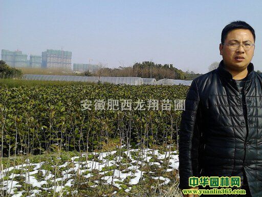 Ǘ𻨡t~~Ůؑo