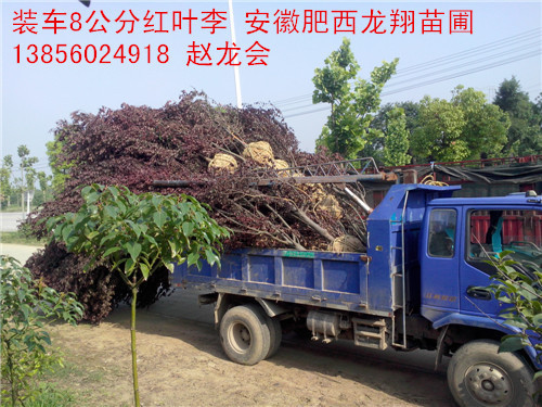 t~ꡢǗޱˮɼʯ骡ͩ