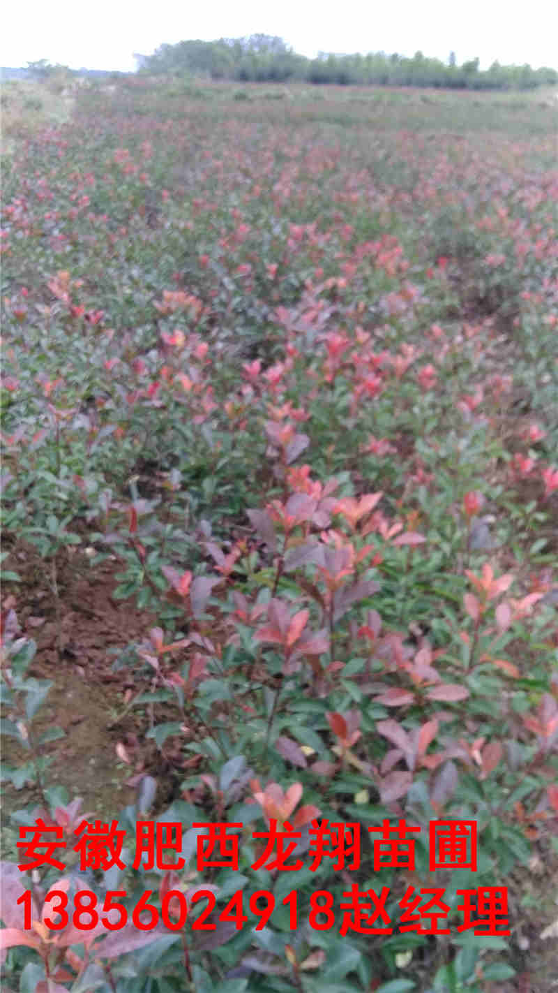 ˮɼޱʯ骡ľʯt~ʯ