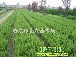 ءu̰ءذɳذء