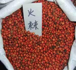 D÷N՗N𼬷N