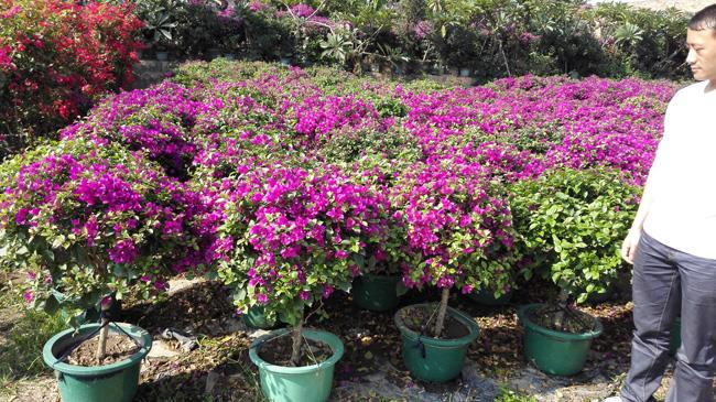 ÷СҎ(gu)÷Ҏ(gu)÷b÷