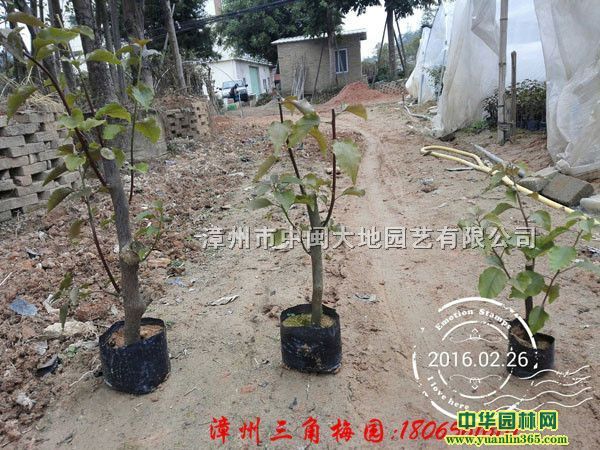 L(zhng)ڡ÷硢硢ԡ~ӻ