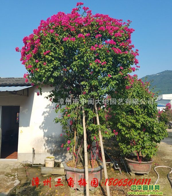 ù硢硢÷С硢÷Ll(f)