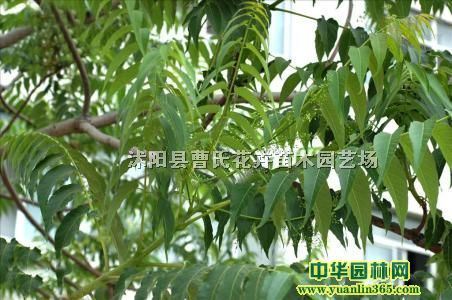 2-10ֳǧ^㴻t