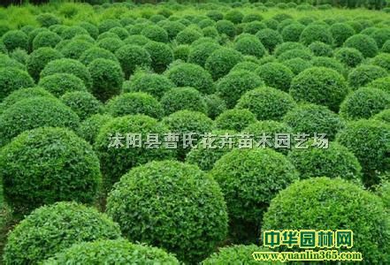 С~Ůؑ񡢺ͩt~ʯ骡С~S