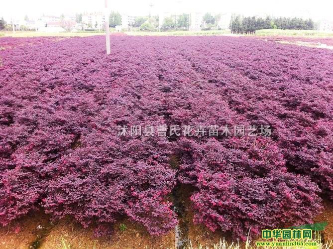 P10-30ּt^ľP30-150ּt^ľ