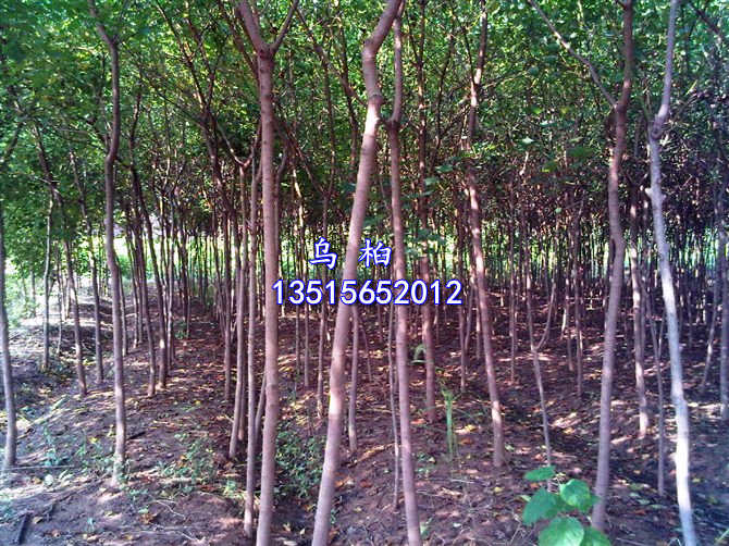 ꡢ~Ůؑtϣ~Ǘ𻨡Vϣmʯ骡ޱ