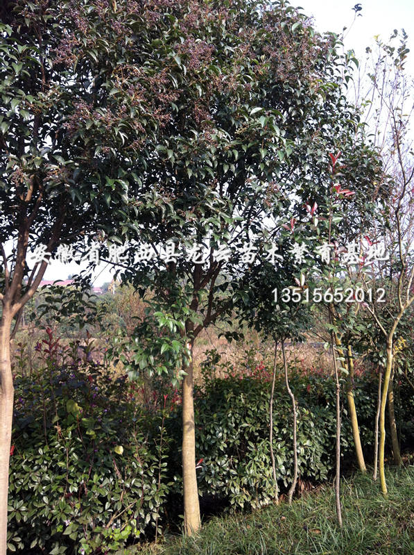 մ~Ůؑ10ִ~Ůؑ12ִ~Ůؑ