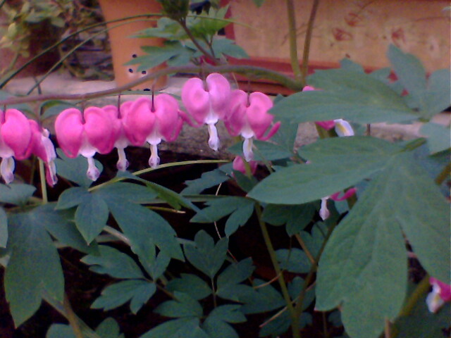 ɻ˯ɏˮ[ǧˡJȔ~(y)