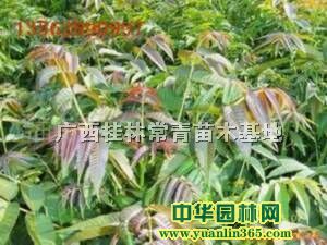 1-2㴻50-1.8Aҡù