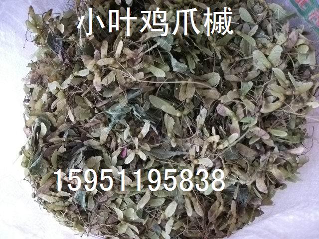 uצʷN,N,ѻN,ɷN,yӷN,N