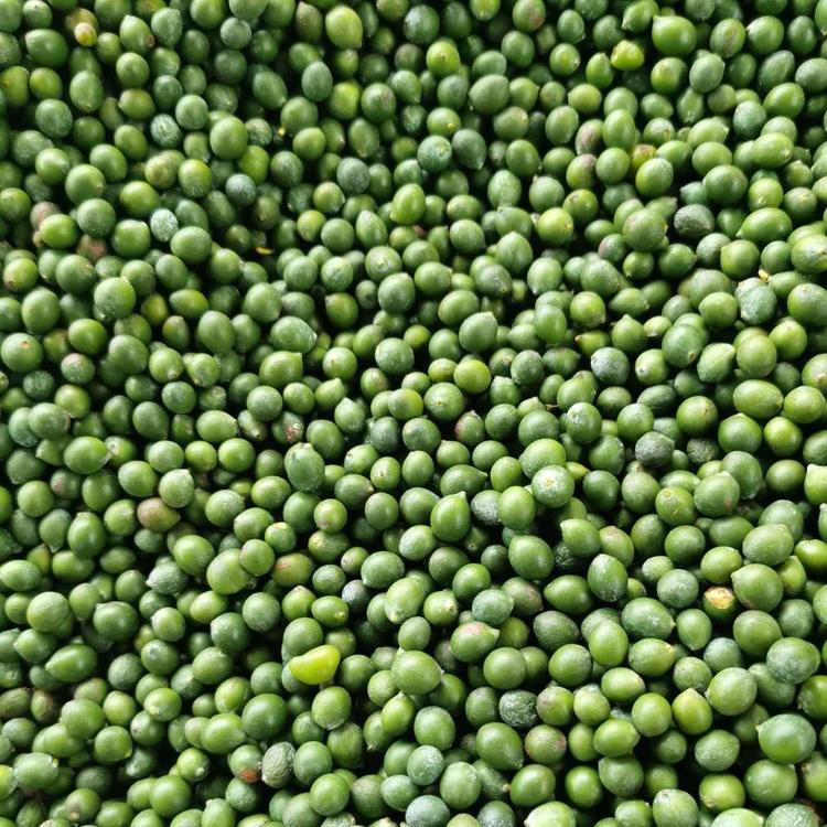 _hɷNa؛ԴṩNֲg